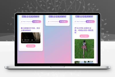 全新二次元聚合短视频解析去水印系统源码 自适应双端-鼎信网