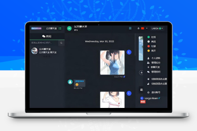 最新公共聊天室系统源码 ChatNet V1.11-V1.9 完整汉化版源码 私人聊天程序-鼎信网